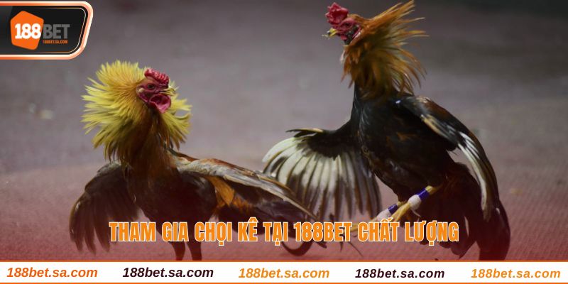 Tham gia chọi kê tại 188BET chất lượng